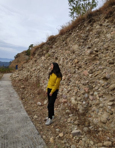 Women Mustard Green Self-Design Sweater - Image 11