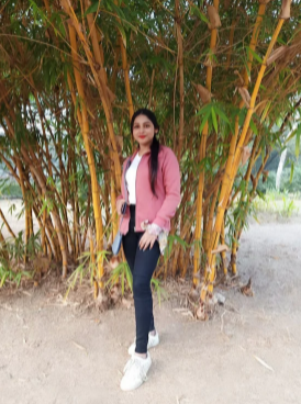 Women Dusty Pink Solid Sweatshirt - Image 5