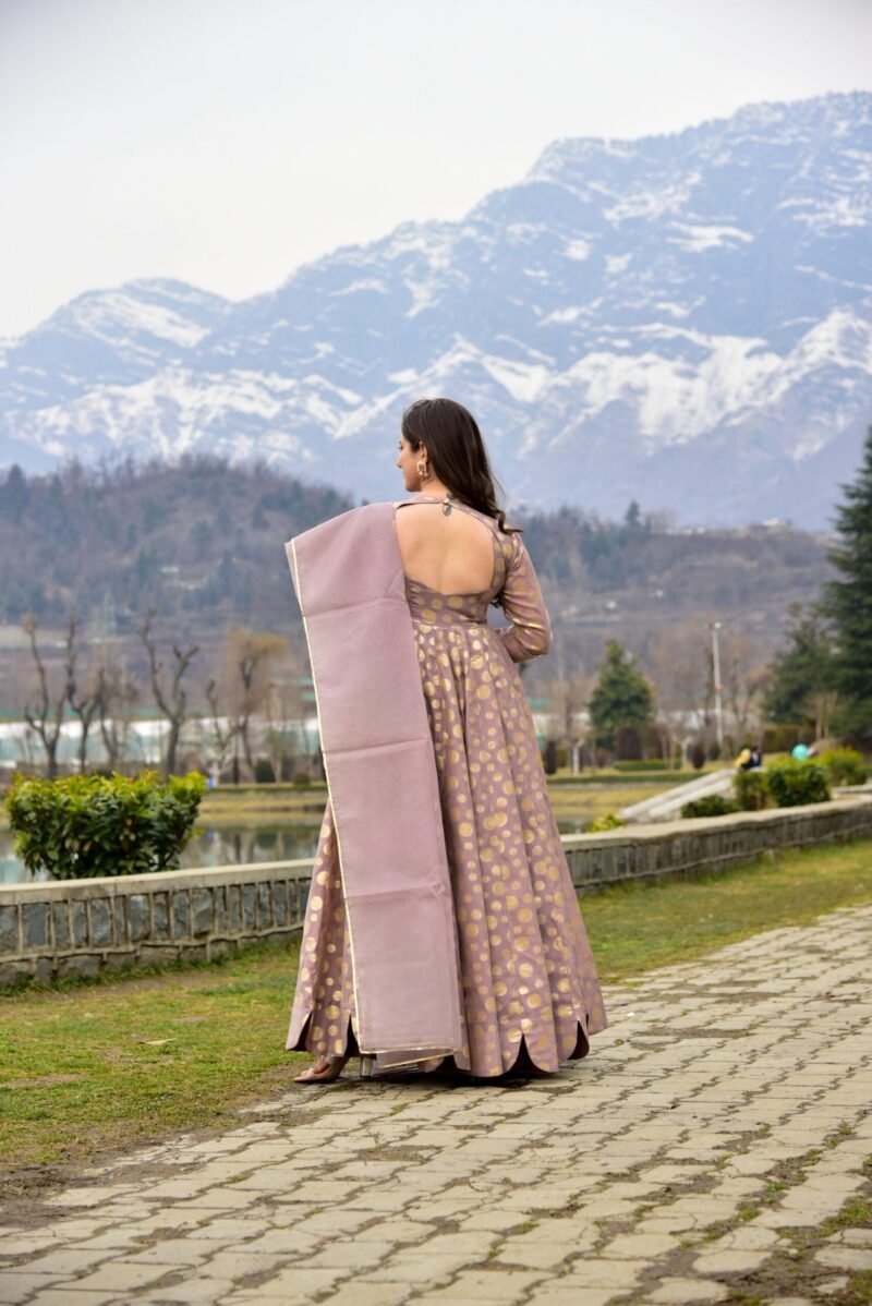 armina pastel chanderi maxi set - Image 4